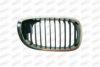 PRASCO BM0212003 Radiator Grille